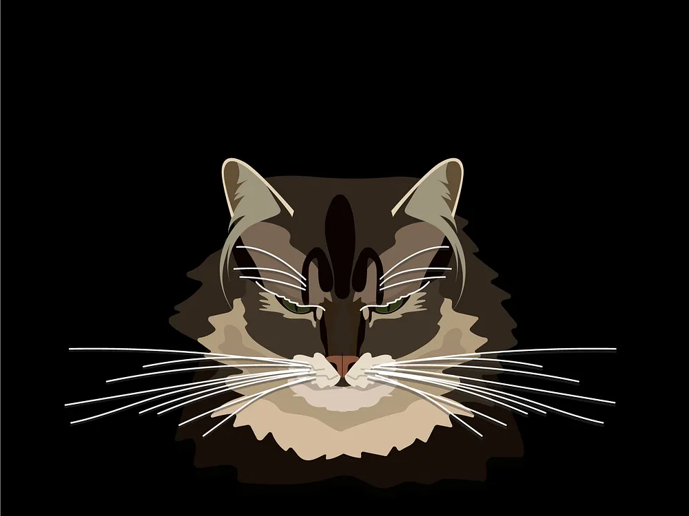 Cute cat illustration
