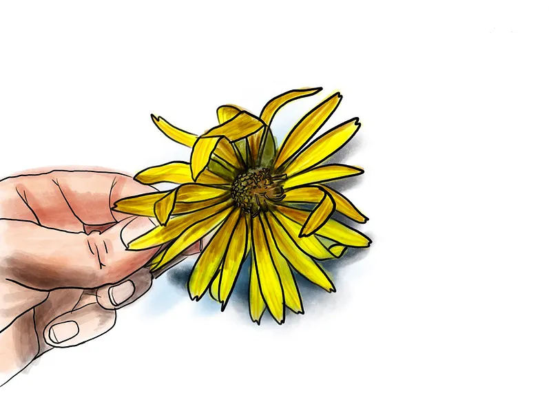 Yellow flower illustration